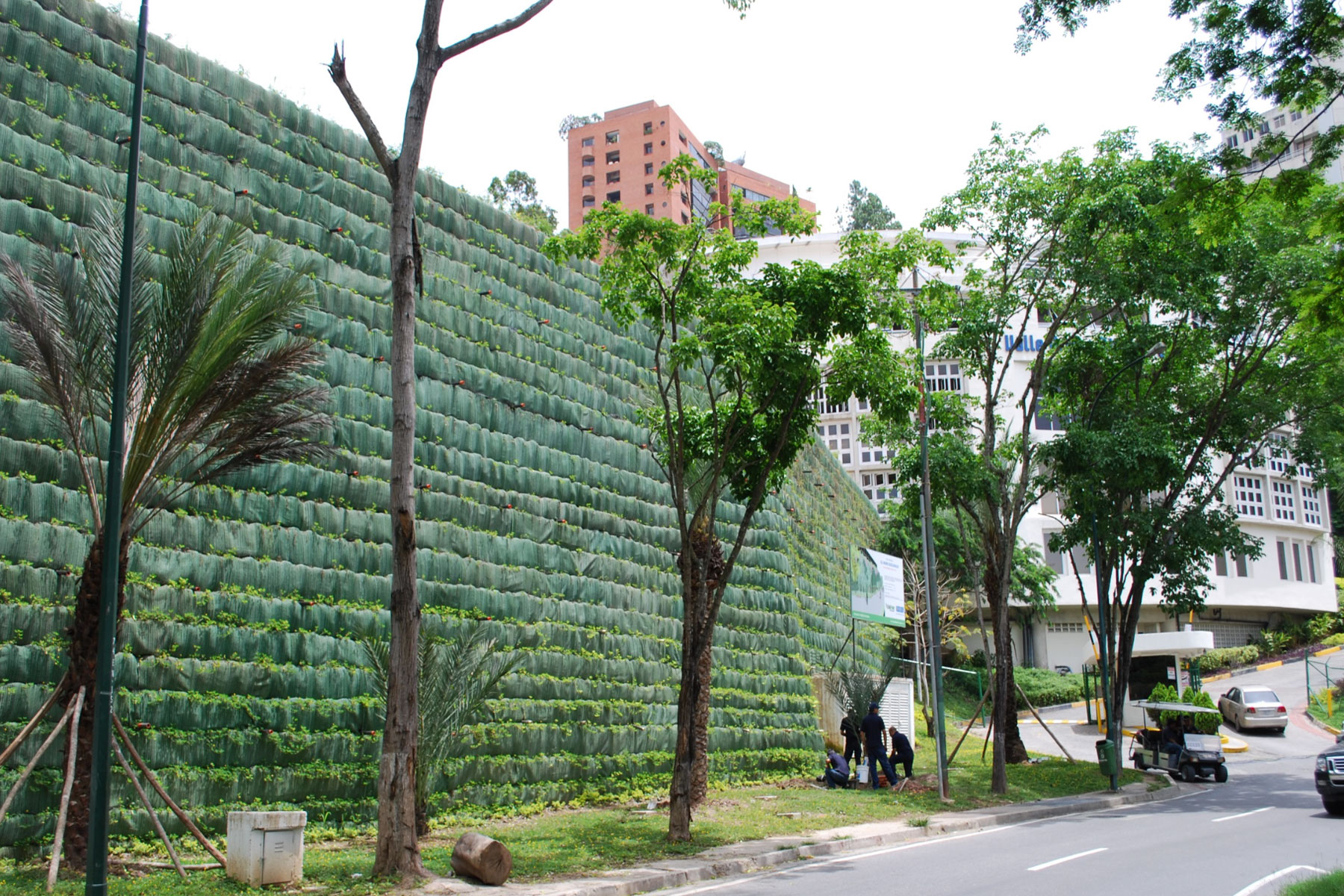 ￼Vista Frontal de Muro de Tierra Reforzada con Geomanta Verde Ecogreen. Valle Arriba Athletic Club, Municipio Baruta, Edo. Miranda. 2009