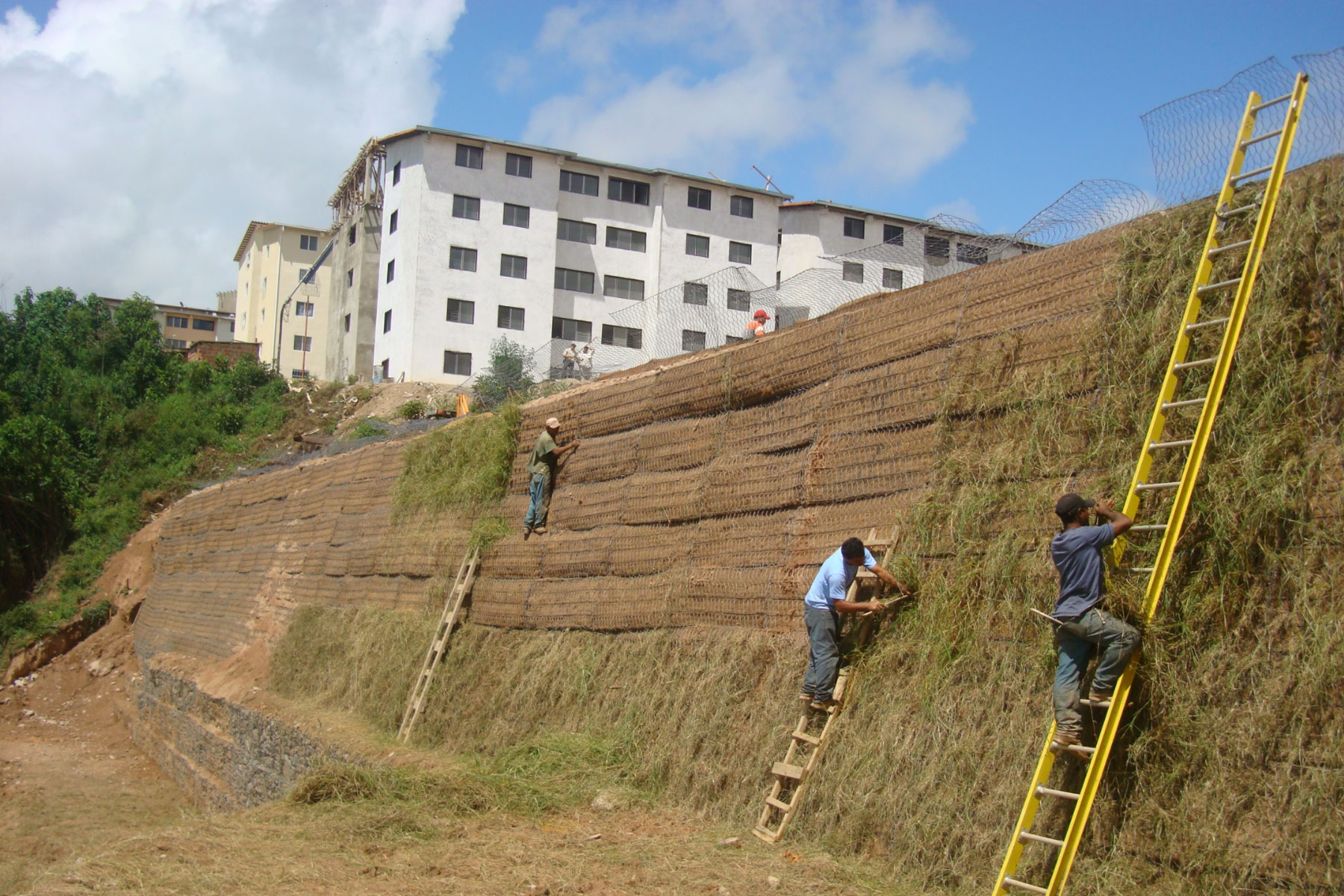 ￼￼Reforestación de un Muro Mixto de Gavión Reforzado. Desarrollo Habitacional Alto Verde, Los Teques. Edo. Miranda 2006
