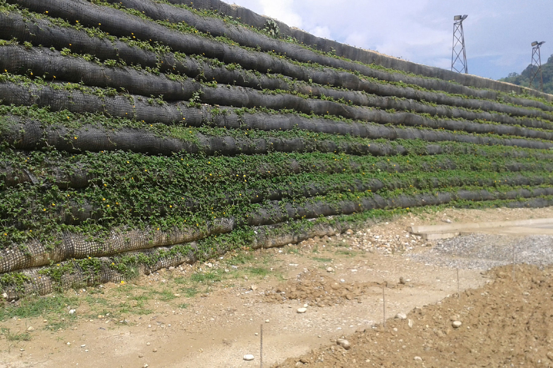 ￼Reforestación de Terraplén reforzado de 6 m de altura por 600 m de largo, con geomallas de poliéster ECOGREEN. Reconstrucción de la margen izquierda del Río Castán, Valera, Estado Trujillo. 2012