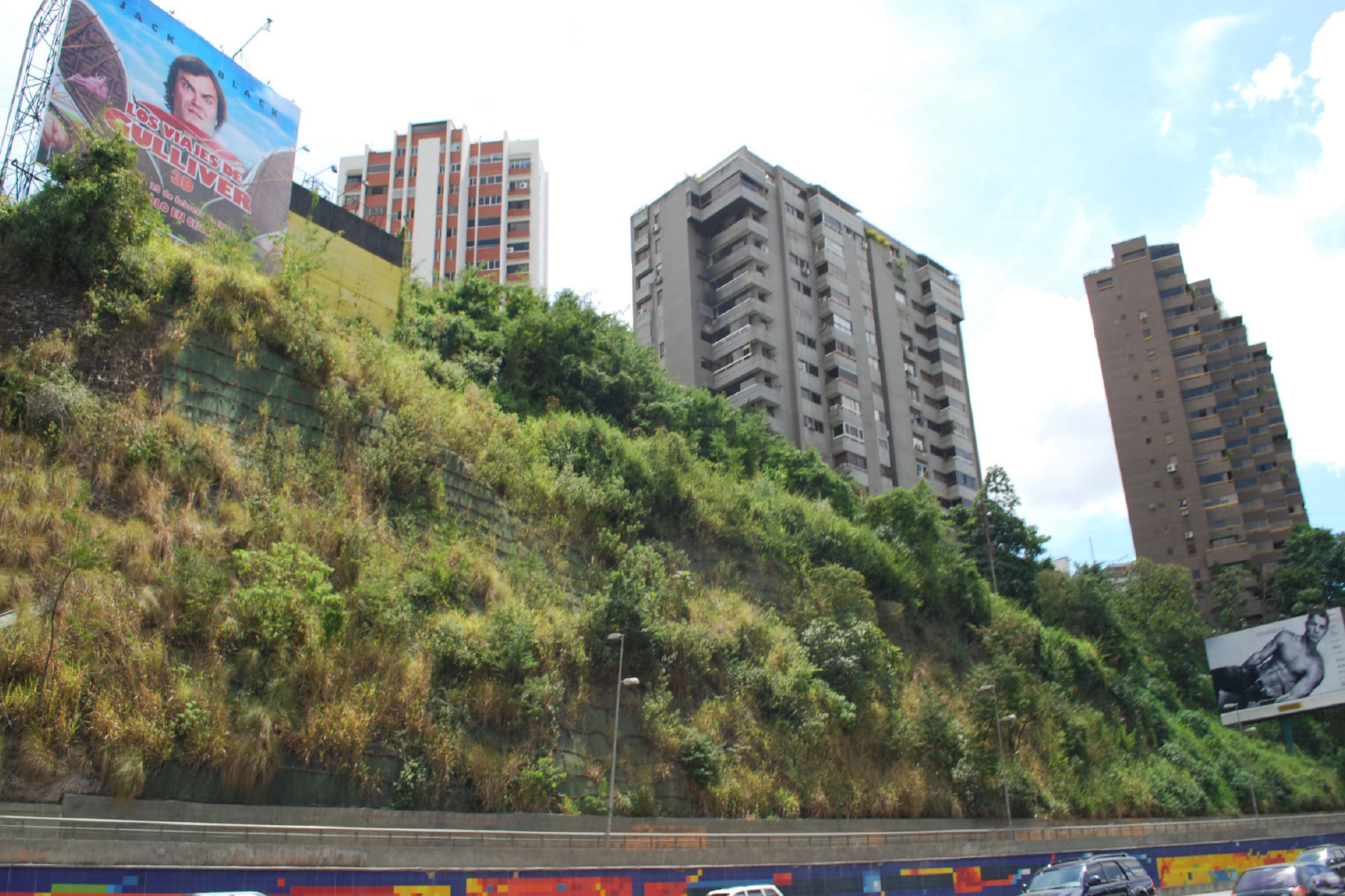 ￼Talud reforestado de 30 m de altura estabilizado con geomallas metálicas y geomantas verdes ECOGREEN, ubicado en La Autopista de Prados del Este. Municipio Baruta. 2010