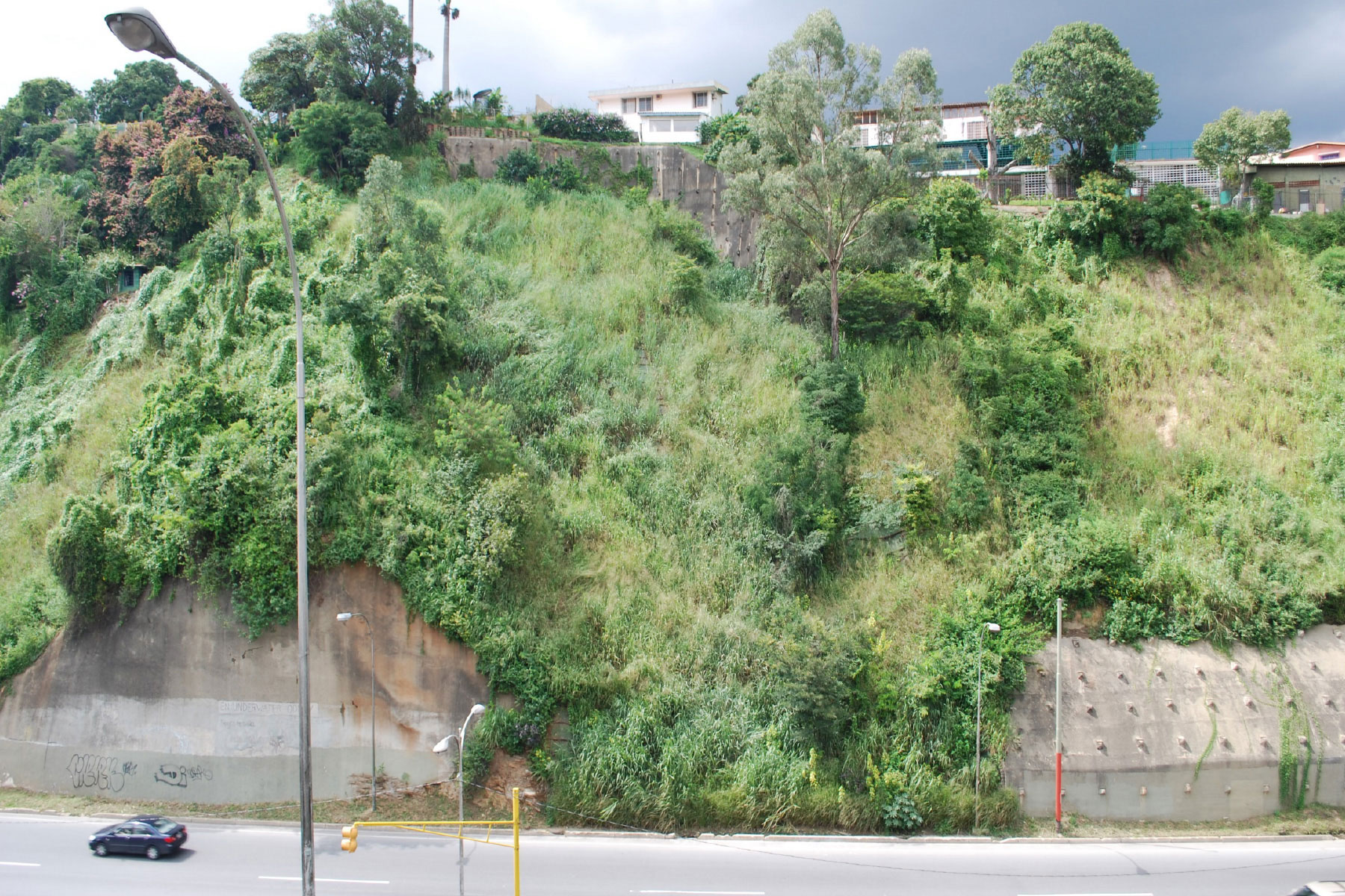 ￼Reforestación de talud de 30 m de altura estabilizado con geomallas metálicas y geomantas verdes ECOGREEN, ubicado en La Autopista de Prados del Este. Municipio Baruta. 2011