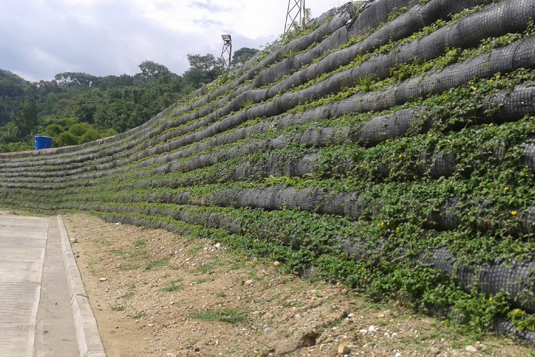 ￼￼Terraplén reforestado de 6,00 m de altura y 600 m de largo, para reforzar la margen izquierda del Río Castán ubicado en